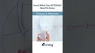 Preload v Afterload  an intro nclex nursingstudent [upl. by Thaine]