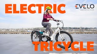 How to Ride an eTrike  Electric Tricycle [upl. by Izaak]