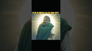 Allah ne Chipkali ko maar me ka hukm FactzTornadoislamicislamicvideo shortvideo shortsfeed [upl. by Lolita372]