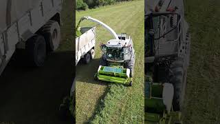 Hill silage with Claas Jaguar 980 Fendt New Holland Case IH  Harvesting of sown alfalfa  2024 [upl. by Holtz948]