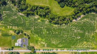 Farm in Whitehouse Ohio displays Taylor Swift themed corn maze [upl. by Lladnyk]