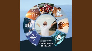 7 Principles of Health [upl. by Enomor]