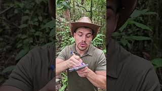 Tuto  BOWHUNTING 🏹 mentawai tribe bow traditional culture plants forest tutorial nature [upl. by Kcirednek]