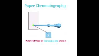 Paper Chromatography [upl. by Gehlbach244]