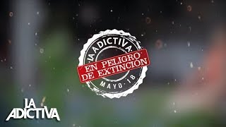 La Adictiva  En Peligro De Extinción Lyric Video [upl. by Gaynor]