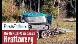 Kraftzwerg  Der Pfanzelt Moritz Fr75 [upl. by Germin]