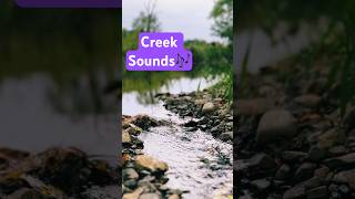 Relaxing creek sounds nature relaxing watersounds chill [upl. by Normalie]