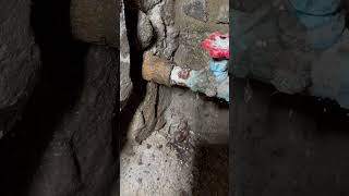 Water main leak coming through a wall affordableplumbingnepa plumber nepa foryoupage leak [upl. by Sidonius]