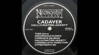 Cadaver  Hallucinating Anxiety [upl. by Ayanat]