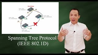 Spanning Tree Protocol IEEE 802 1D [upl. by Lyell]