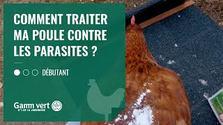 Lutter contre les cochenilles farineuses sur les plantes dintérieur [upl. by Ginger713]