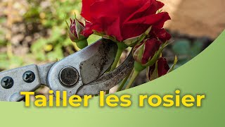 Comment tailler les rosiers [upl. by Cohlier]