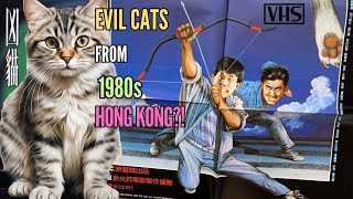 A Demonic Feline CULT Classic EVIL CAT 1987 From Hong Kong is BONKERS [upl. by Balas]