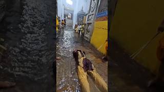 Mu sukha re bi tora pakhaku ta jae Jagannath status video odia bhajan status jagannath puri [upl. by Mellicent]