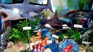 Marine Ecosystem Diorama [upl. by Randie]