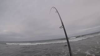 Fish EVERY Cast Insane Montauk Blitz Fishing Fall 2019 [upl. by Sirenay]