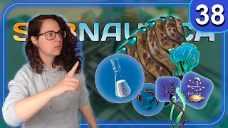 Enzimas de incubación  Subnautica  Gameplay Español  38 [upl. by Nur]