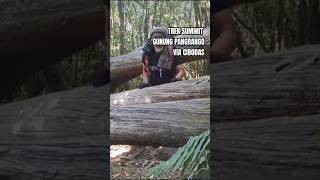 BEGINI  TREK SUMMIT GUNUNG PANGRANGO VIA CIBODAS shortvideo pendakian [upl. by Wandie]