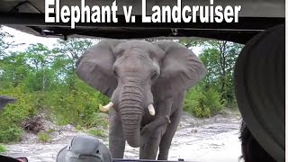 Elephant v Landcruiser [upl. by Inneg615]