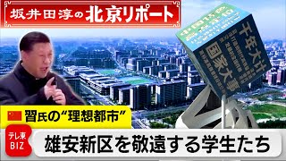 14兆円投じ建設進む中国の理想都市“雄安新区” 習主席肝いりの計画をなぜか企業も学生も敬遠【坂井田淳の北京リポート】 [upl. by Nehepts523]