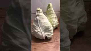 2kg Sauerkraut 4 verschiedene Arten  fein [upl. by Enaywd]