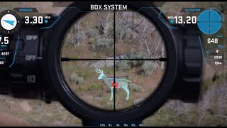 How to Use BDX Riflescopes and Rangefinders [upl. by Anauqed]