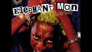 Elephant Man Feat CeCile  Bad Gal Bad Man [upl. by Yeldud]