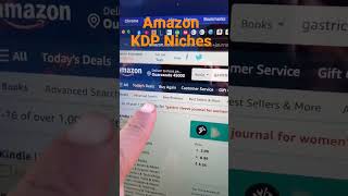 2024 Amazon KDP Niches [upl. by Ahsienel895]