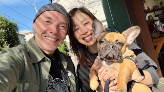 JAPANESE LUNCH At a DOG CAFE  🛵 NOV 9 2024  LIVE [upl. by Silin]