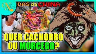 COMIDAS CHINESAS ME TORNARAM XENOFÓBICO  React As Mais Nojentas Comidas da China FaladeTudo [upl. by Nanny962]