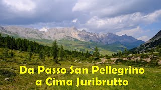 La nostra escursione da Passo San Pellegrino a Col de le Palue  Cima Juribrutto video 4K [upl. by Ytsim67]