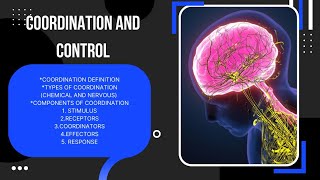 TKF661 Coordination and control Types components of coordinated action [upl. by Virgina]