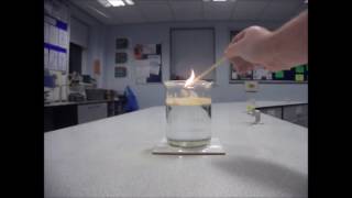 Lycopodium Powder Demonstration [upl. by Duax]