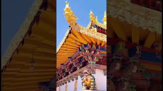 Jokhang Temple of Tibet the sacred temple in Buddhism kailash buddhism hindupilgrimage [upl. by Yrrok]