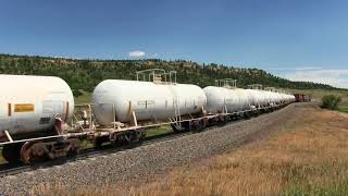 BNSF sulfuric acid tank train and coal train at Palmer Lake Colorado [upl. by Oriana774]