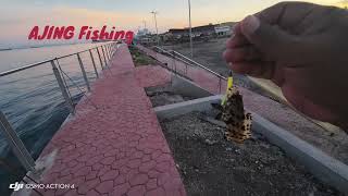 Ajing Fishing soft bait colors fish cant resist [upl. by Aidan369]