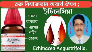 483 ইচিনেসিয়া রক্ত বিষাক্ততার অব্যর্থ ঔষধ Echinacea unfailing medicine for blood poisoning [upl. by Seve]