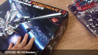 UNBOXING  PART PREVIEW CUTECUBE  MG 1100 Woundwort [upl. by Streeto314]