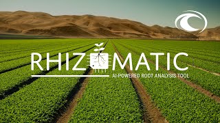 Rhizomatic  AIPowered Root Analysis amp Characterization Tool [upl. by Wootten579]