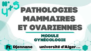 Gynéco  Anapath  0405 Pathologies mammaires et ovariennes Pr Djennane [upl. by Yadahs]