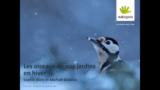 Tous les trucs des ornithologues pour reconnaître les oiseaux de jardin en hiver [upl. by Anuayek]