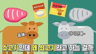 소고기는 소고기인데 왜 쇠고기라고 하는 걸까 [upl. by Donielle]