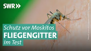 Fliegengitter gegen Moskitos Wie leicht geht der Einbau  Marktcheck SWR [upl. by Arob]