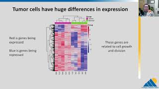 BIOL201 Ch167  Cancer and Gene Regulation [upl. by Link]