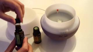 How to use a diffuser for your Essential Oils [upl. by Eiralam]