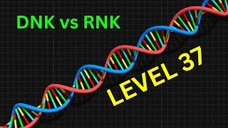 DNK vs RNK oqsil biosintezi Masalalar ishlanish usuli LEVEL 37  davomi tez kunda DNK RNK [upl. by Llenrad]