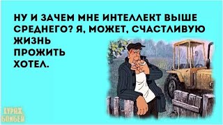 Анекдоты в картинках 381 от КУРАЖ БОМБЕЙ жена растёт эгоисткой скрипеть диваном и нашествие НЛО [upl. by Ahcila]