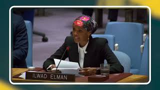 Ilwad Elman briefs the Security Council meeting on the situation in Somalia [upl. by Arehsat902]