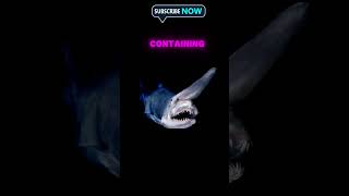 Goblin shark are very Dangerous fish [upl. by Alveta]