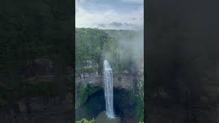 Fall Creek Falls TN the Tallest freefalling waterfall east of the Colorado Rockies at 256 ft tall [upl. by Euqirdor]